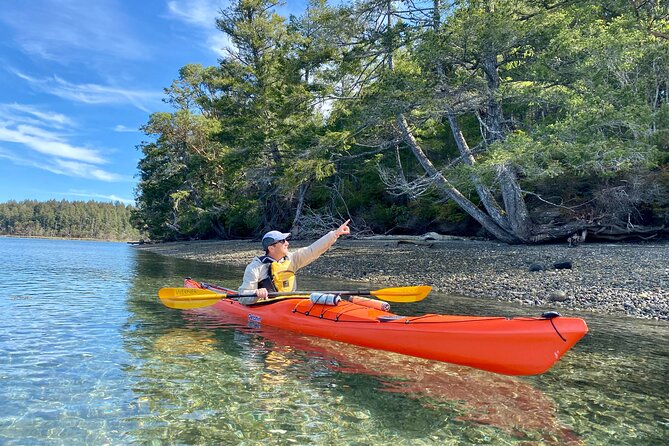 Guided Kayak Tour To Hope Island State Park - What the $89 price covers, and why it feels fair