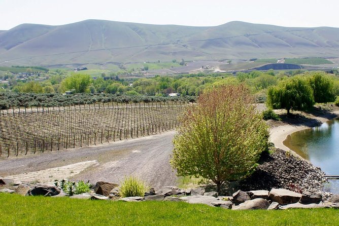 Hike Mt. Rainier & Taste Yakima Valley Wine: All-Inclusive Day Tour from Seattle - Seattle Pickup, Transit Comfort, and Why the Timing Works