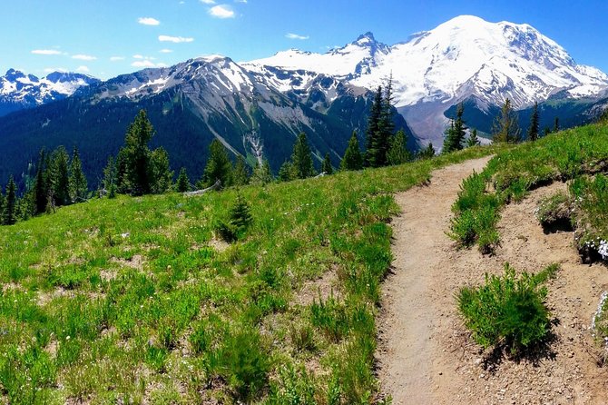 Hike Mt. Rainier & Taste Yakima Valley Wine: All-Inclusive Day Tour from Seattle - The Mt. Rainier Part: A 3-Mile Eastside Walk With Real Wild Things