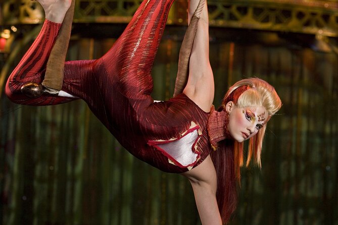 Kooza by Cirque du Soleil: Under the Big Top in Seattle, WA - Inside The Big Top At Marymoor Park