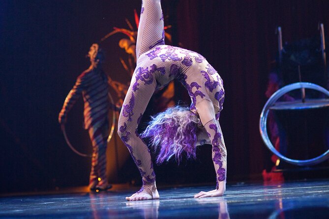 Kooza by Cirque du Soleil: Under the Big Top in Seattle, WA - Seating Comfort and The Reality of Tight Spaces