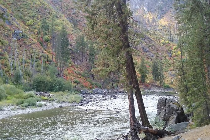 Luxury Leavenworth Day Trip through the Cascade Mountains - Stop 5: Deception Falls, The Easy Walk That Adds Heart