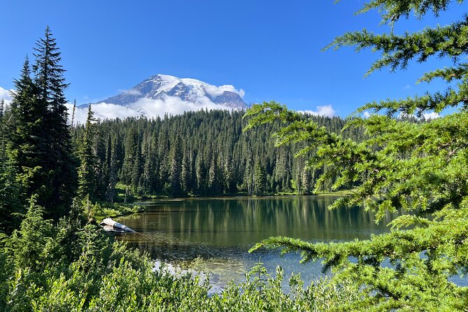 Mount Rainier Customized Tour from Seattle - Seattle to Mount Rainier in a real day plan