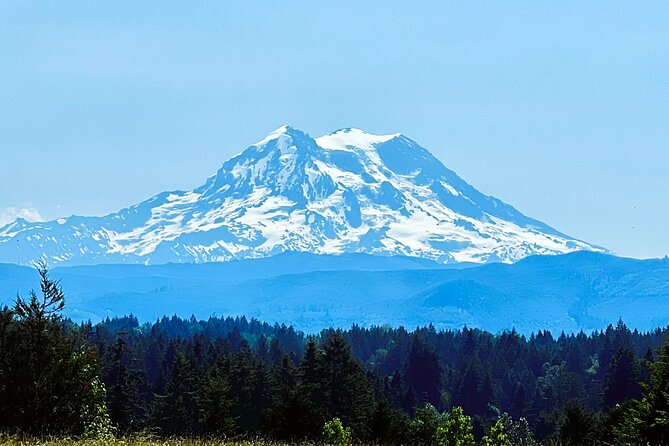 Mount Rainier Customized Tour from Seattle - Longmire visitor center: museums and a calmer start to the park
