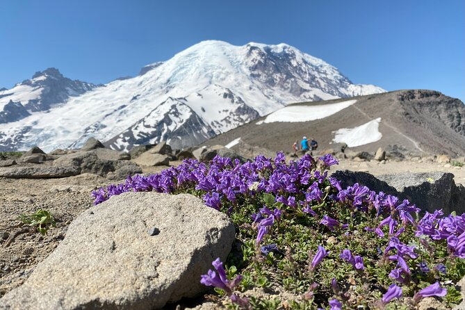 Mount Rainier Day Hike - Your guide, Sophia-style: knowledge plus real companionship