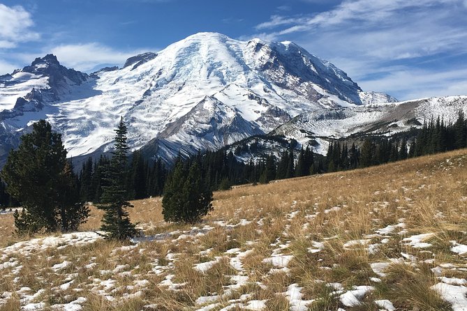 Mount Rainier Day Hike - Lunch, snacks, and the pacing that keeps you smiling
