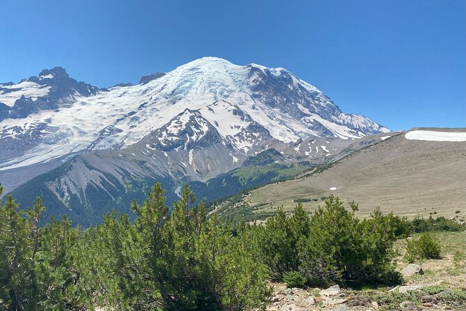 Mount Rainier Day Hike - Price and value: why $289 feels fair for what you get