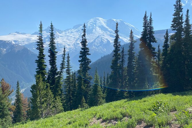 Mount Rainier Day Hike - On-trail reality: a 6-mile moderate to challenging hike that you can scale