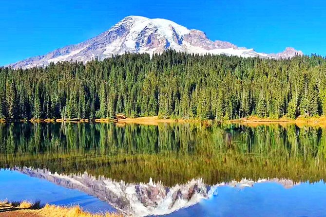 Mount Rainier National Park Day Tour from Seattle - Key highlights worth planning around