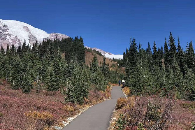 Mount Rainier National Park Day Tour from Seattle - Seattle to Paradise: Why this Mount Rainier day trip feels like value