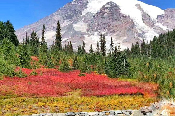 Mount Rainier National Park Day Tour from Seattle - Christine Falls, Narada Falls, and the car-access waterfall hit