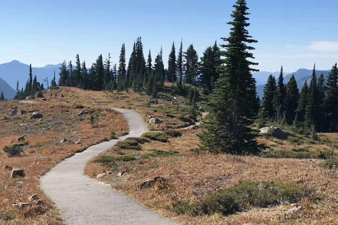Mount Rainier National Park Day Tour from Seattle - Paradise Loop and Paradise Visitor Center: where most of the day’s magic happens