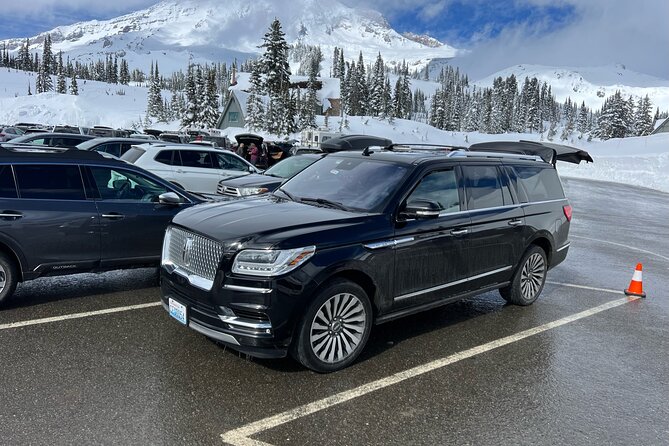Mount Rainier Private Full Day - Sprinter Van or SUV - Comfort on the Road: Sprinter Van or SUV, Water, and A/C