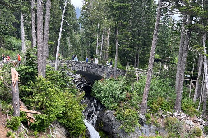 Mount Rainier Private Full Day - Sprinter Van or SUV - Guides, Personal Touches, and What People Seem to Love