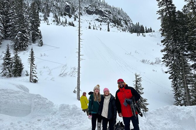 Mount Rainier Private Full Day - Sprinter Van or SUV - Price and What You Actually Get for $350 Per Person