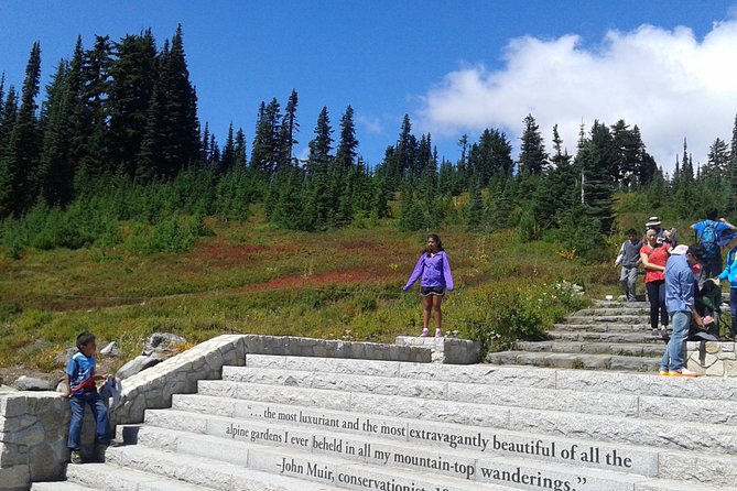 Mount Rainier Tour from Seattle - A Smooth Seattle Pickup and a Dedicated Guide