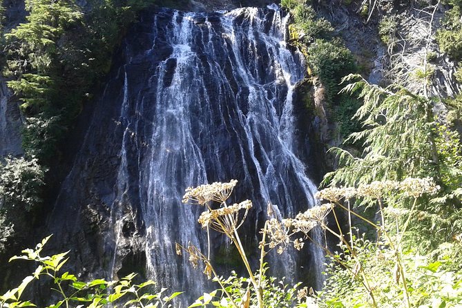 Mount Rainier Tour from Seattle - How the Tour Handles Walking, From No-Walk to Moderate