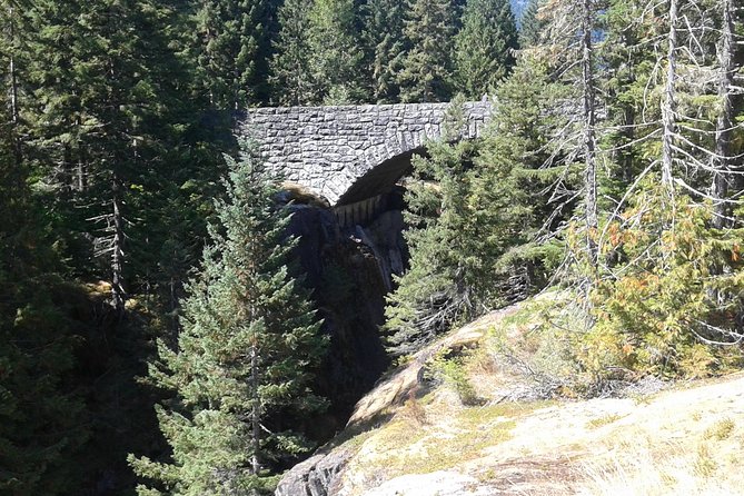 Mount Rainier Tour from Seattle - Private Tour Pricing: Why It Can Be Worth It