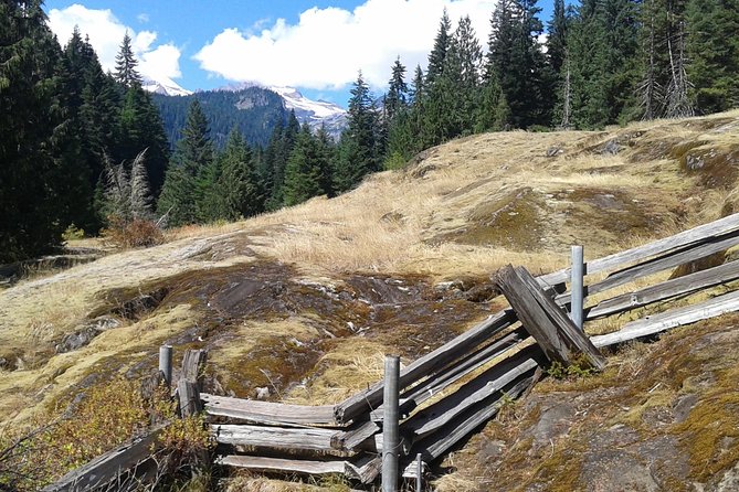Mount Rainier Tour from Seattle - Who This Mount Rainier Tour Fits Best