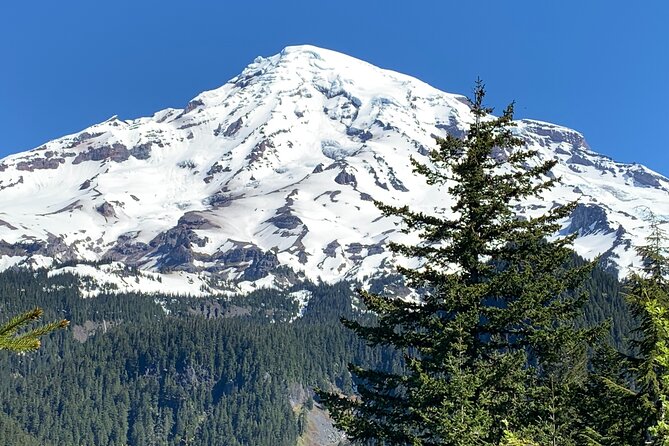 Mt. Rainier highlights - old forest, falls and glaciers - Longmire old-growth forest walk: quieter, lower, and classic Rainier