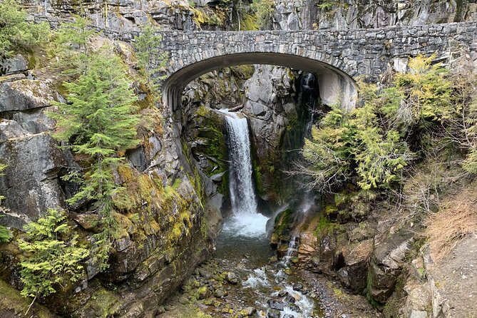 Mt. Rainier highlights - old forest, falls and glaciers - Pace, food, and the small-group advantage