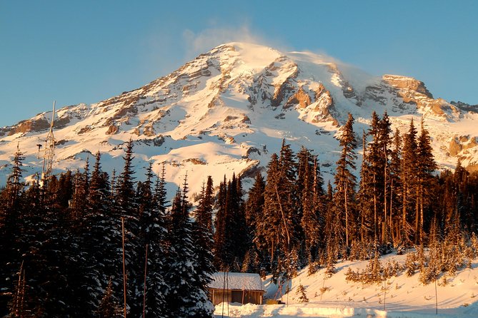 Mt. Rainier National Park Highlights Tour - Quick hits before you go