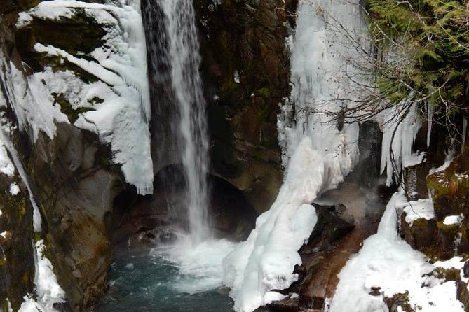Mt. Rainier National Park Highlights Tour - Why this Mt Rainier day trip works so well from Seattle