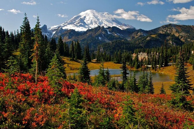 Mt. Rainier National Park Highlights Tour - Longmire Museum and Trail of the Shadows, where the park story becomes real