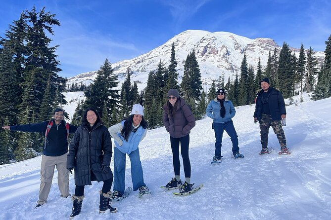 Mt. Rainier National Park Highlights Tour - Christine Falls viewpoint and the Narada Falls walk for real photo power