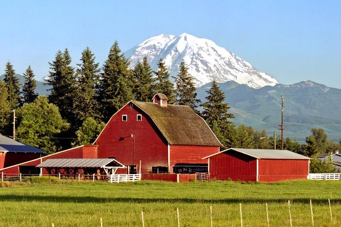 Mt. Rainier National Park Highlights Tour - Paradise Valley at 5,400 feet: the main event and the winter reality check