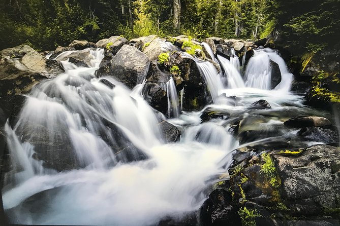 Mt. Rainier National Park Highlights Tour - Reflection Lakes and seasonal stops: what changes with summer vs winter