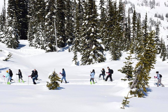 Mt. Rainier National Park Highlights Tour - The guide, the narration, and how weather changes the plan