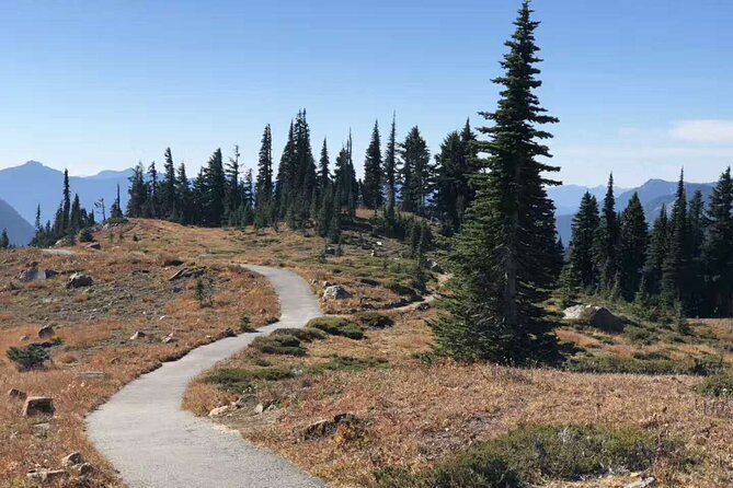 Mt Rainier National Park Small Group Day Tour from Seattle 2CanGo - Key things that make this Mt. Rainier tour worth your attention