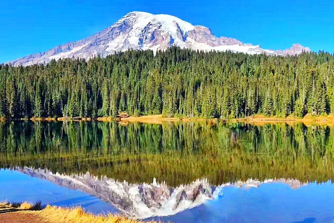 Mt Rainier National Park Small Group Day Tour from Seattle 2CanGo - Summer route: Longmire Museum, Christine Falls, Narada Falls, Paradise, Reflection Lakes