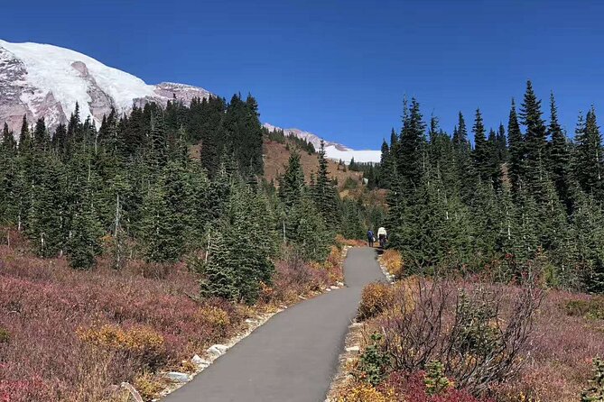 Mt Rainier National Park Small Group Day Tour from Seattle 2CanGo - The stops you will remember: falls, lakes, and why short walks work