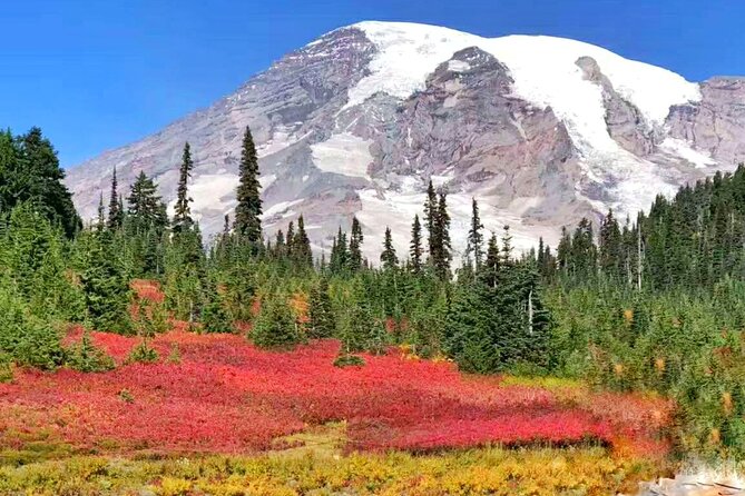 Mt Rainier National Park Small Group Day Tour from Seattle 2CanGo - Lunch, snacks, and keeping your energy steady