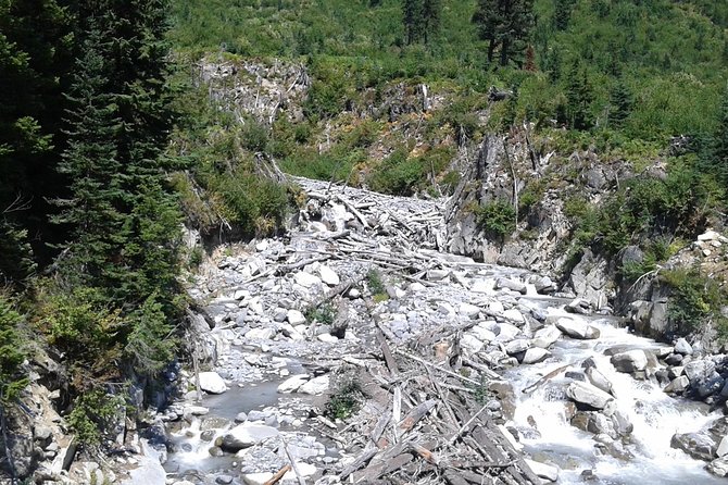 Mt Rainier Private Tour Experience in SUV - Why an SUV Private Tour Gets You to Rainier Without the Headache