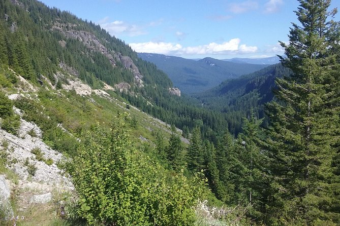 Mt Rainier Private Tour Experience in SUV - Snacks, Water, and the Real Lunch Question