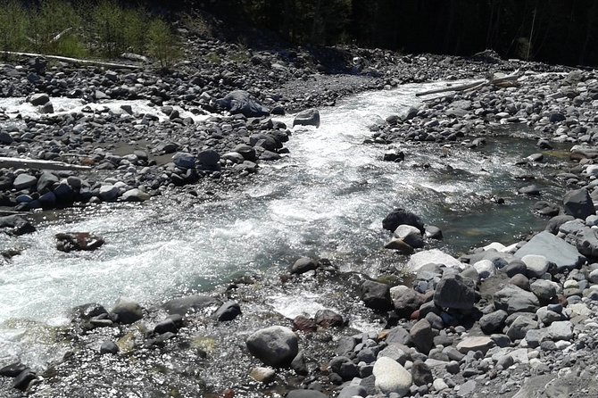 Mt Rainier Private Tour Experience in SUV - Comfort, Pickup Coverage, and Who This Tour Suits Best