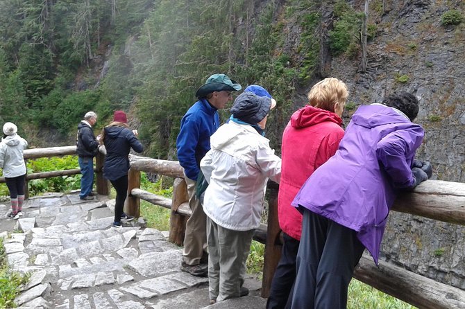 Mt Rainier Private Tour Experience in SUV - Price and Value: Is $462.36 Per Person Worth It?