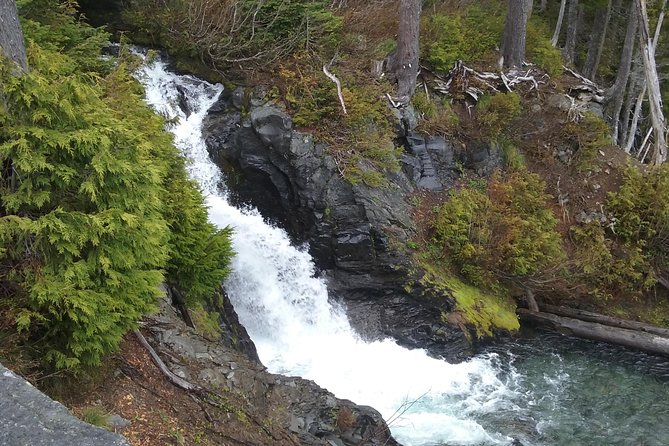 Mt Rainier Private Tour Experience in SUV - Should You Book This Private Mount Rainier SUV Tour?