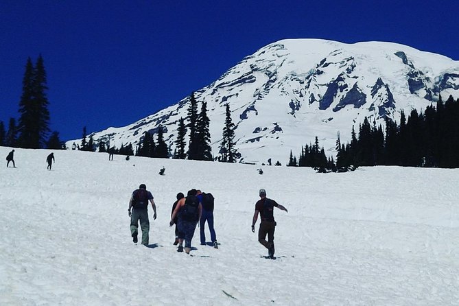 Mt Rainier Private Tour Experience in SUV - Guide Cheryl and Llyle: How Stories Make the Park Feel Personal