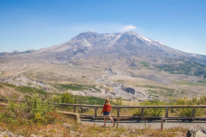 Mt. St. Helens National Monument from Seattle: All-Inclusive Small-Group Tour - Coldwater Lake Boardwalk: Easy Walking, Big Feelings