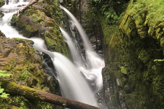 Olympic National Park Day Tour from Seattle - Key Highlights You’ll Actually Care About