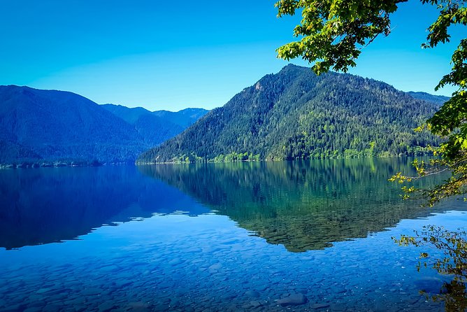 Olympic National Park Day Tour from Seattle - Price and What You’re Getting for $239