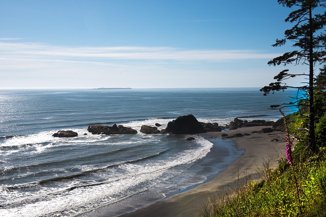 Olympic National Park Day Tour from Seattle - Jamestown S’Klallam Reservation Stop: Food, Restrooms, and a Break