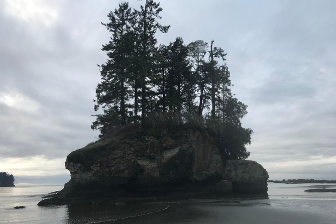Olympic National Park Day Tour from Seattle - Salt Creek vs Dungeness Spit: Tide Pools and Beach Time