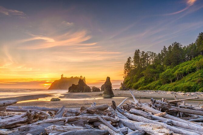 Olympic National Park Small Group Day Tour w/Scenic Ferry 2CanGo - Key tour highlights (the fast list)