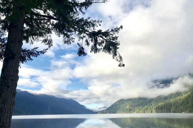 Olympic National Park Small Group Day Tour w/Scenic Ferry 2CanGo - Starting in Seattle and crossing to Bainbridge Island