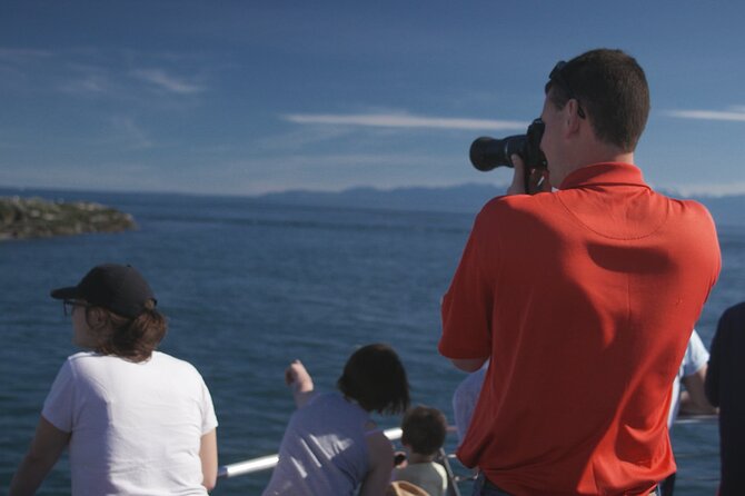 Only Wildlife and Whale Watching Tour Leaving from Seattle - Seats, Deck Crowds, and Why Premium Seating Often Does Less Than You Hope